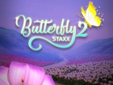 Butterfly Staxx 2